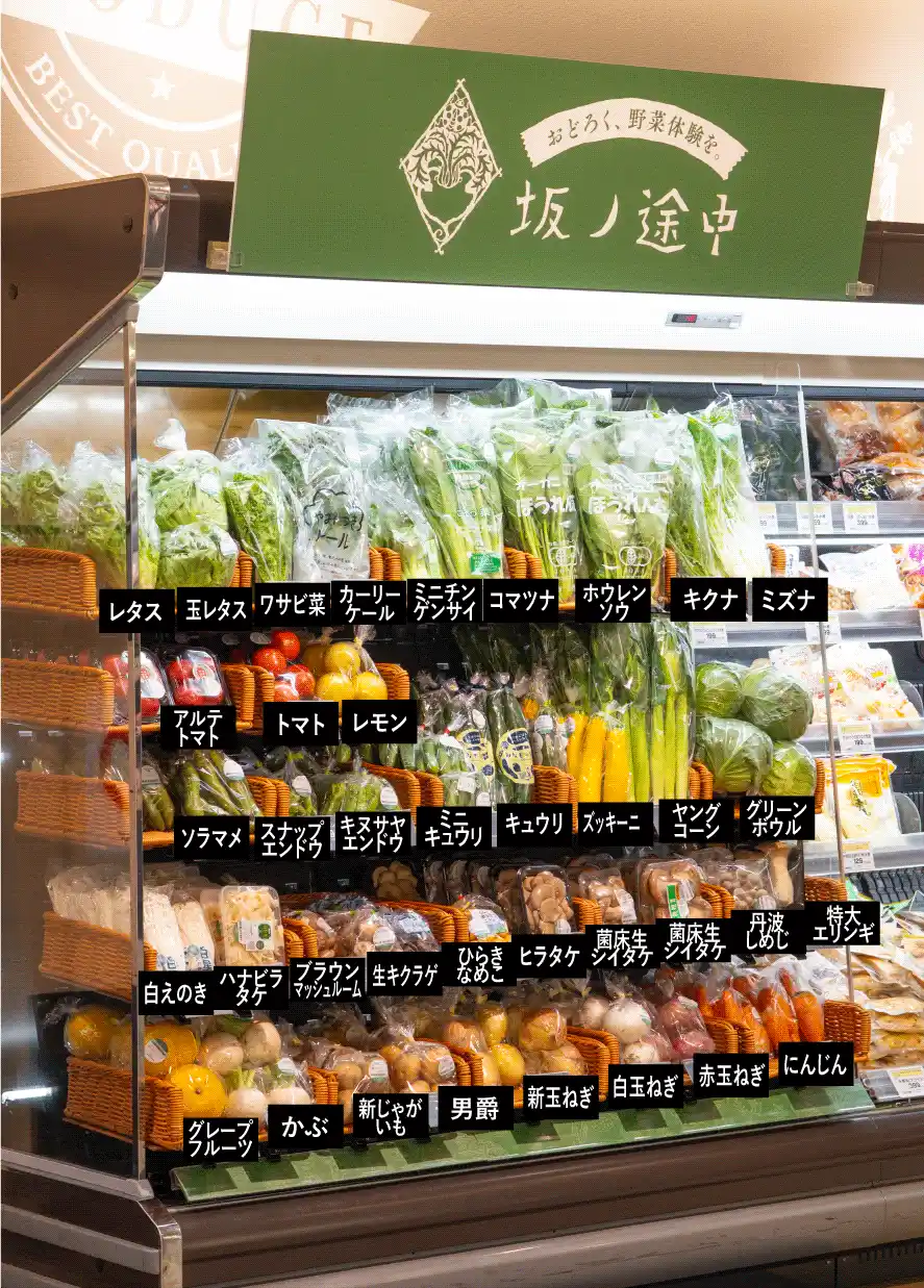 坂ノ途中、スーパーマーケットへの出店が加速