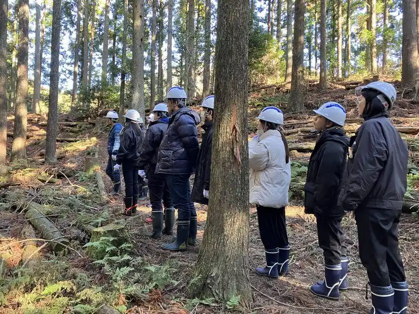 コメダの森保全活動