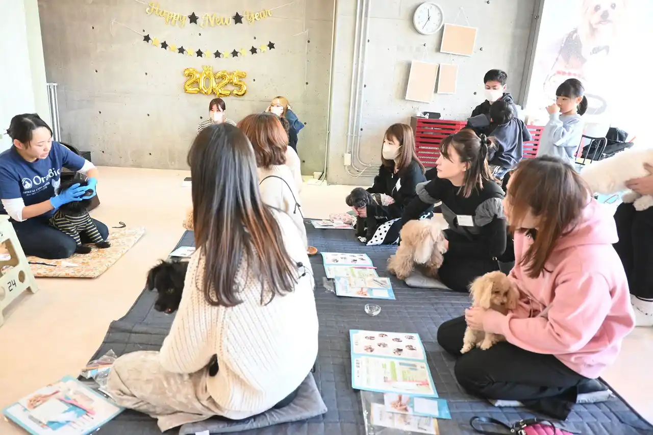 【株式会社ハミガキドッグ】 犬の健康寿命を“歯みがき習慣”で守る新会社誕生。全国のトリミングサロン等へ“磨けるトリマー”を育成し、口腔ケア文化を広げる挑戦！