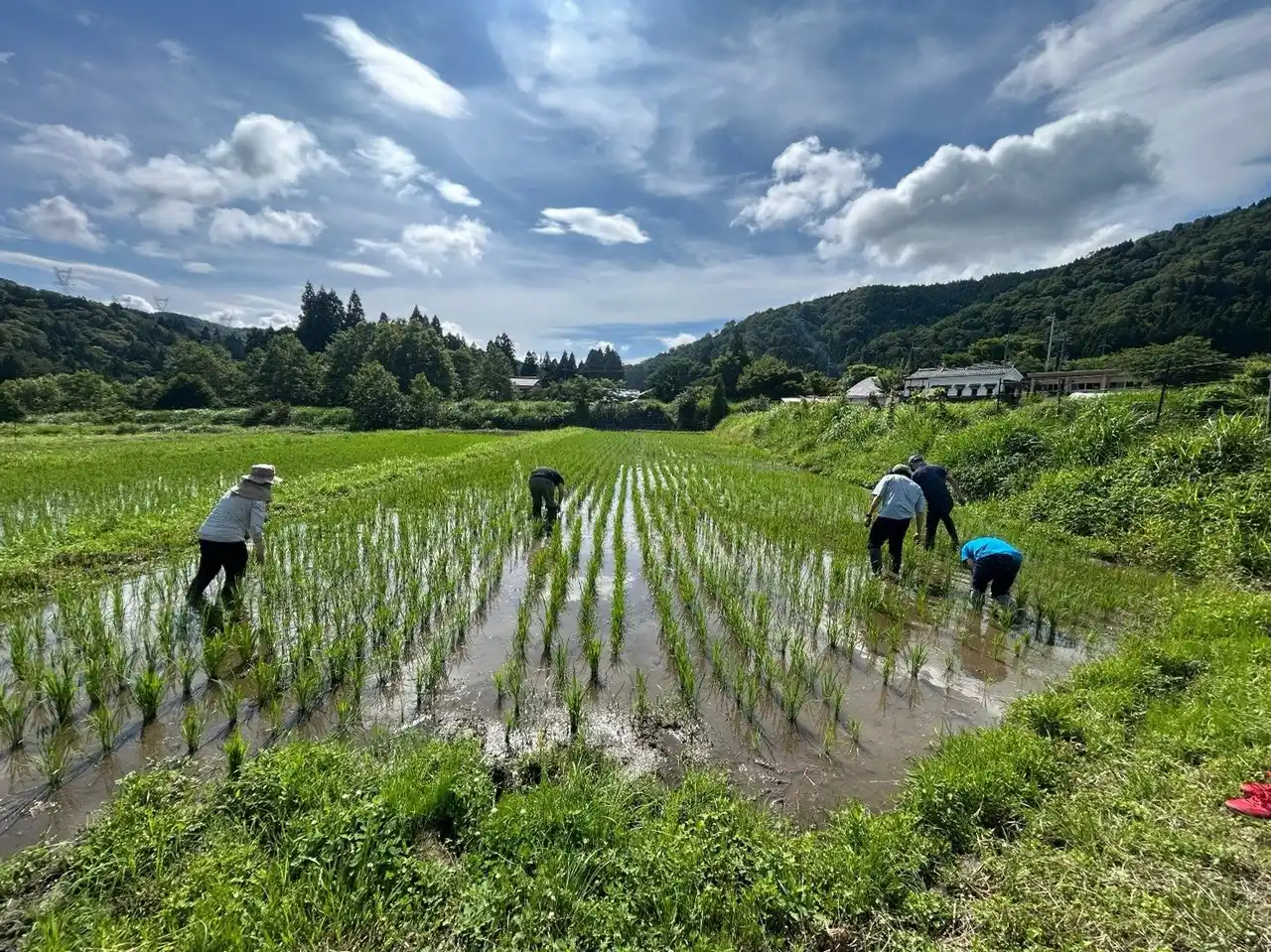 【トヨタ・コニック株式会社】 びわ湖の源流で育てる「データサイエンス米」。