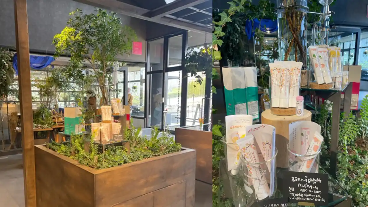 【株式会社 鈴木ハーブ研究所】 いばらきフラワーパークで新規取り扱いを2/14から開始　茨城特産品の香りが楽しめる3種類のハンドクリーム