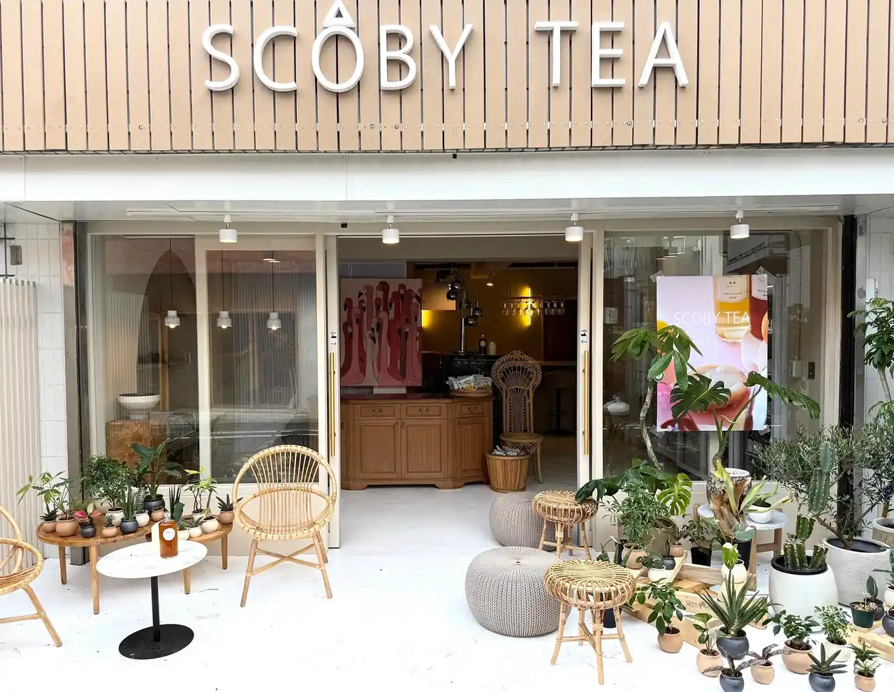 【VEGA株式会社】 7月5日(土) 新たな発酵の体験の場が誕生！「クラフトコンブチャ SCOBY TEA」 フラッグシップストアが世田谷・駒沢にニューオープン