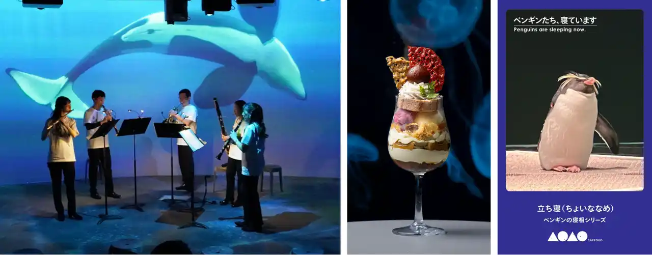 【AOAO SAPPORO】秋の夜長に、まちなかの水族館で「幸せな夜更かし」を　夜の水族館で様々なカルチャーが融合する、定番イベント「AQUARIUM JAM（アクアリウム ジャム）」がスタート