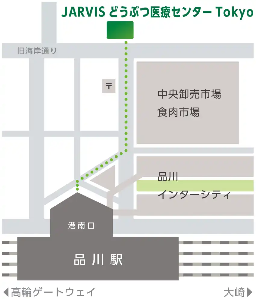 アニコム先進医療研究所、『JARVISどうぶつ医療センター Tokyo』にて獣医療職向け採用説明会を12月18日（木）に開催