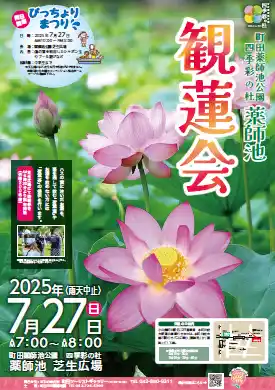 【東京都町田市】町田薬師池公園四季彩の杜 薬師池「観蓮会」・「びっちょりまつり」を開催します