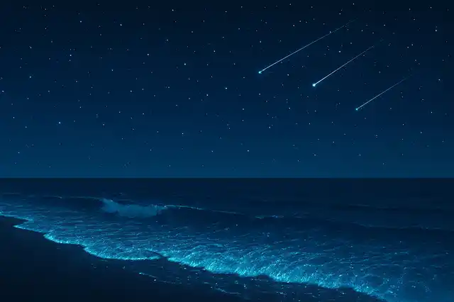 【神戸】8月9日は海ほたる鑑賞に行こう！都会のそばで見る「海の天の川」。シェアハウス和楽居が10年間伝え続ける五感で学ぶSDGs体験。