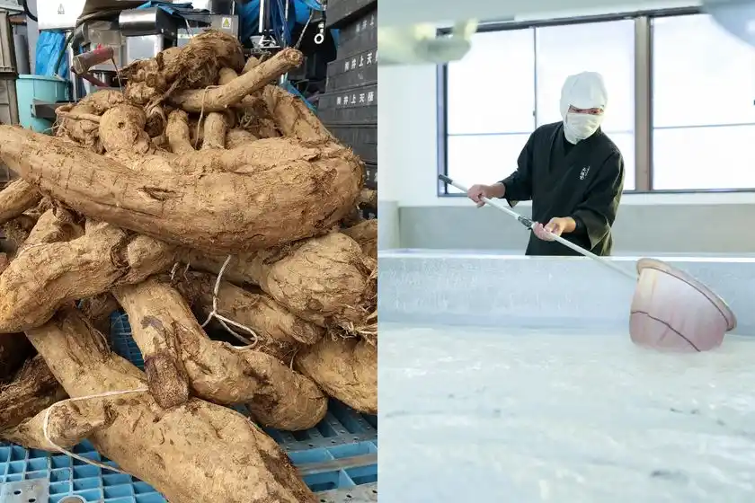 Makuakeプロジェクト_天極堂とろりくずゆ_葛根＆製造の様子