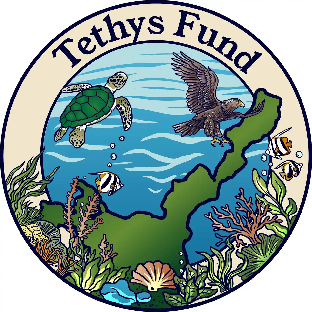 【公益財団法人日本フィランソロピック財団】 ＜助成先決定＞第1回「Tethys 基金～石垣島・海の教育事業助成～」の助成先発表