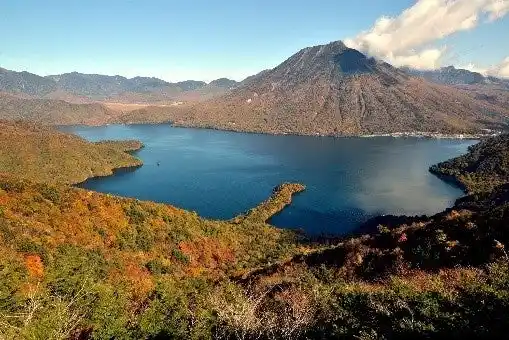 【東武トップツアーズ株式会社】 「国際エコリゾート日光」実現に向けた連携強化と取組みの推進について～日光自然博物館と東武トップツアーズ両社の専門性と資源を連携活用～