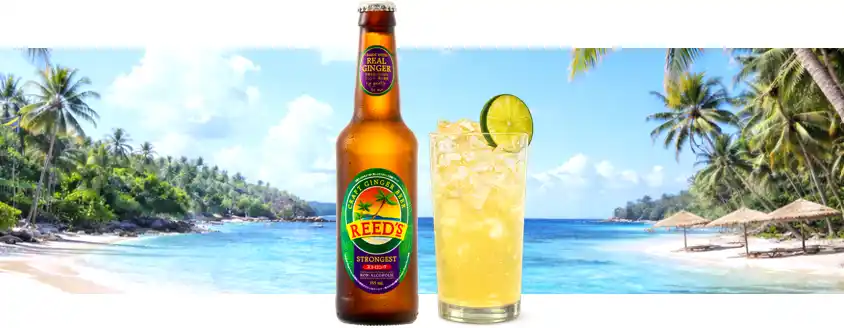 新感覚の爽快感。本場アメリカのクラフト・ジンジャードリンク「REED’S」（リーズ）日本初上陸　Reed’s日本株式会社