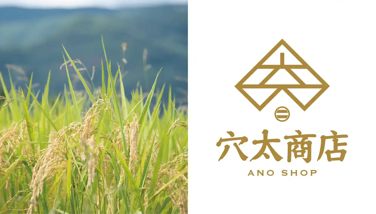 穴太衆のふるさと滋賀県大津市に “お米” 由来のカフェ『穴太商店』本店がグランドオープン！【2025年7月18日(金)】
