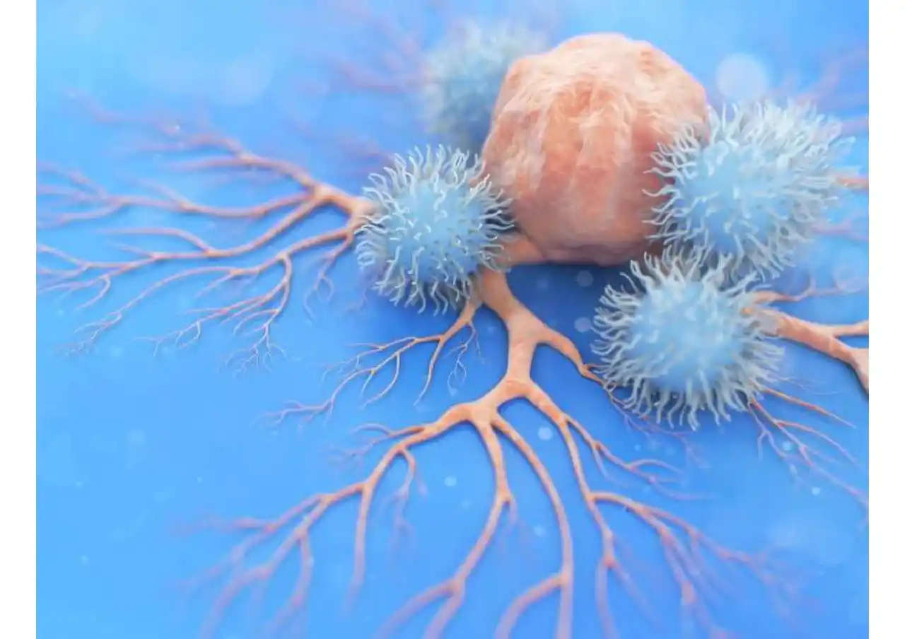 【DC-BIOTECH株式会社】 DC-BIOTECH、再生医療・創薬分野における技術開発の取り組みを公開