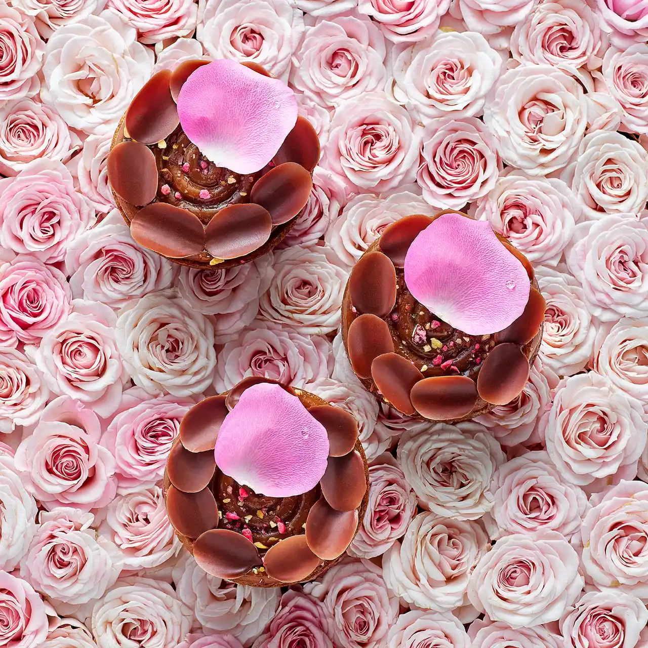 【ピエール・エルメ・パリ】直営ブティック 「ピエール・エルメ・パリ 日本橋高島屋S.C.」オープン