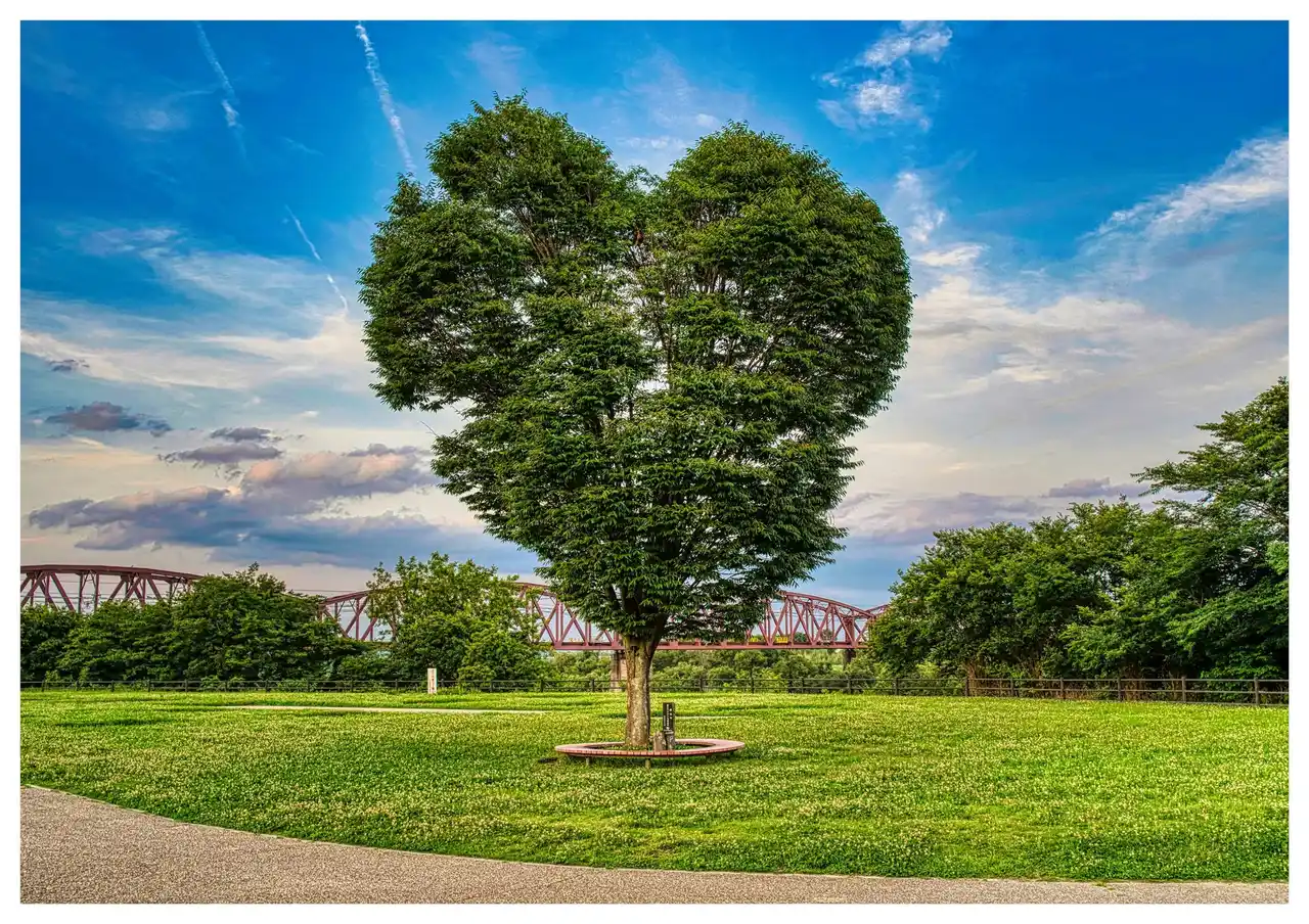 【岐阜県庁】 岐阜県×県内市町村ＳＮＳ連携企画を開始します！