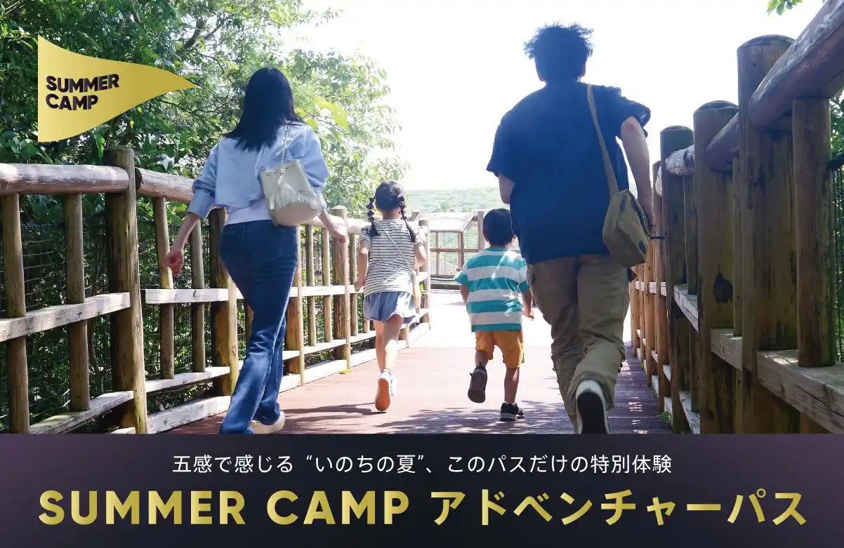 【アドベンチャーワールド】 夏ならではの特別を、今だけの冒険パス　パークの魅力をぎゅっと詰め込んだ体験がまとめてできる特別なチケット！「SUMMER CAMP アドベンチャーパス」期間限定販売