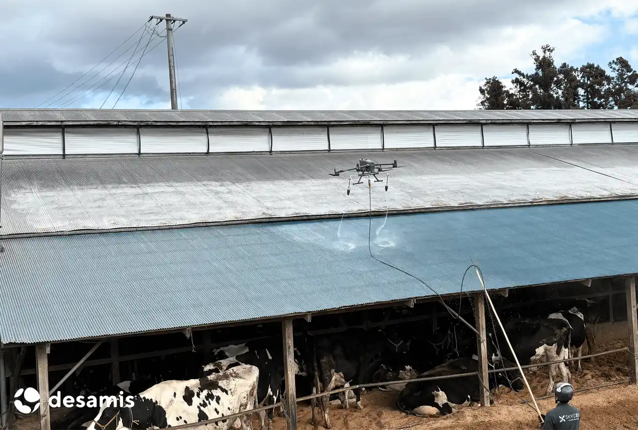【デザミス株式会社】 デザミス、宮城県酪初のドローンを活用した暑熱対策事業を実施