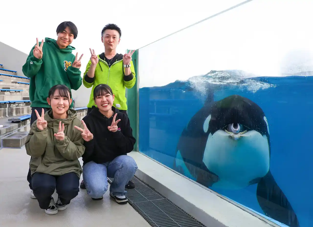 【グランビスタ ホテル＆リゾート】 【鴨川シーワールド】すぐそこにシャチ！？関東唯一の記念写真を撮影しょう！！ 1日7組限定「シャチと記念写真」開催決定