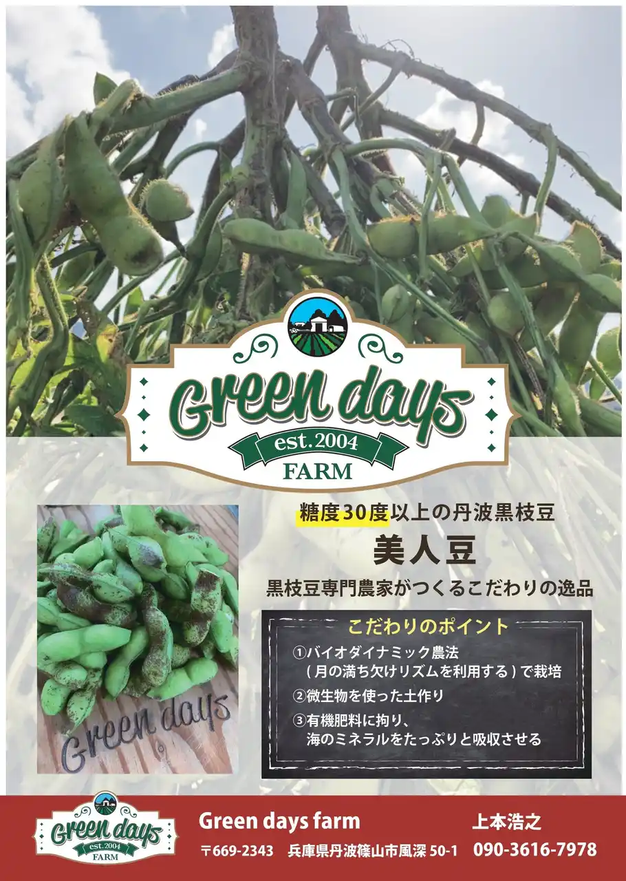 糖度マスカットの最大2倍! ブランド黒枝豆「美人豆」本日11月1日より、本格出荷シーズン開始