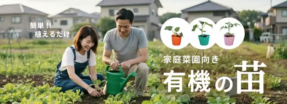 【2026年シーズン到来】自然とともに暮らす、有機のタネと苗をご用意しました!! （公益財団法人 自然農法センター）