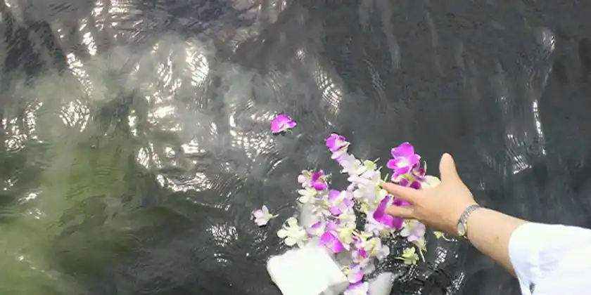 美しい大自然へと還る海洋散骨も承ります