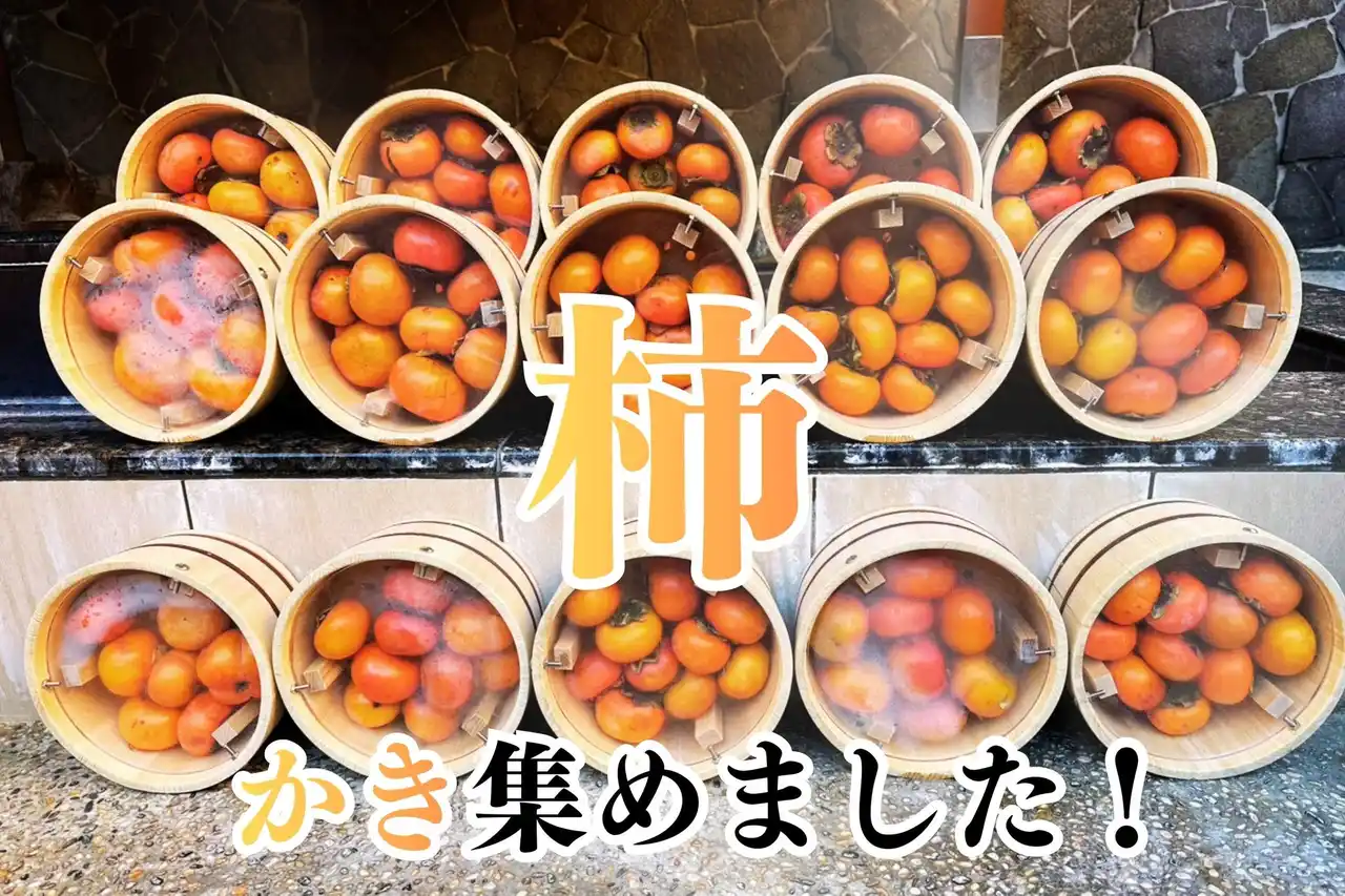【いい風呂の日企画】かき集めた柿で「柿風呂2025」開催！