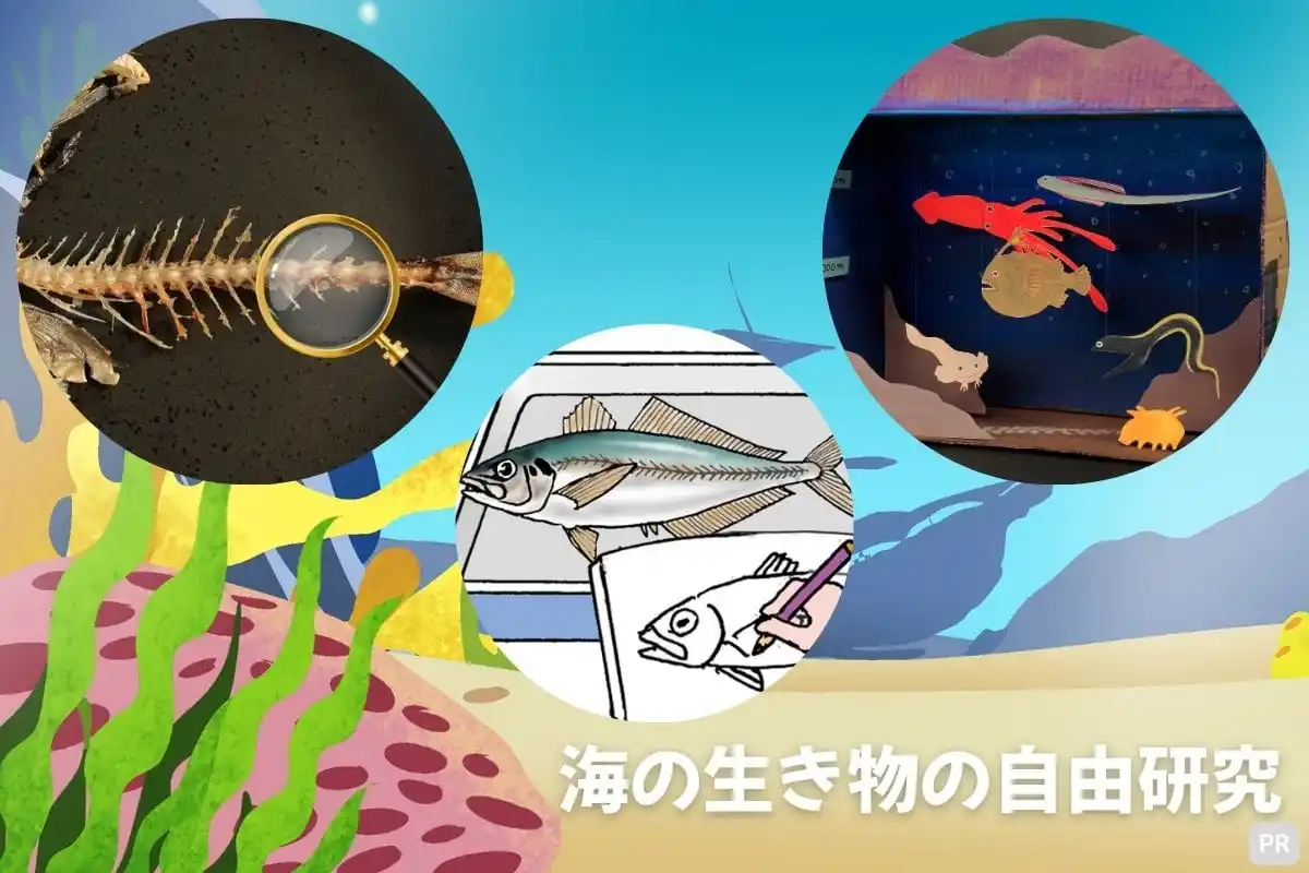 【学研キッズネット】海の生き物について深く知る観察＆工作！　自由研究を通じて作品コンクールに応募しよう！
