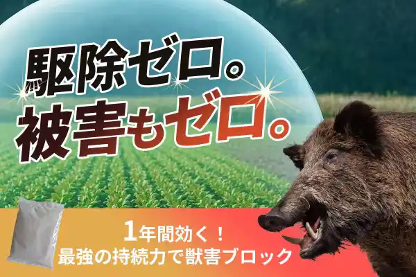 【クマ・シカ被害が深刻化】「殺さずに守る」革命的忌避剤が登場!北海道の漁業廃棄物が1年持続の農害対策に変身