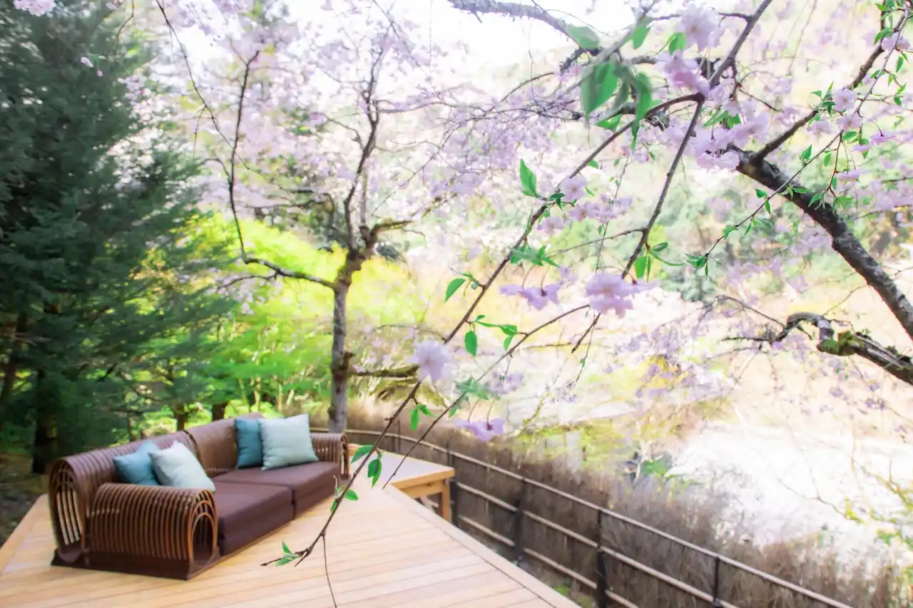 【星のや京都】平安貴族が興じた奥嵐山で叶う贅沢。三つの桜の「特等席」を独り占めする、一日一組限定の滞在プログラム「奥嵐山の花見滞在」提供開始