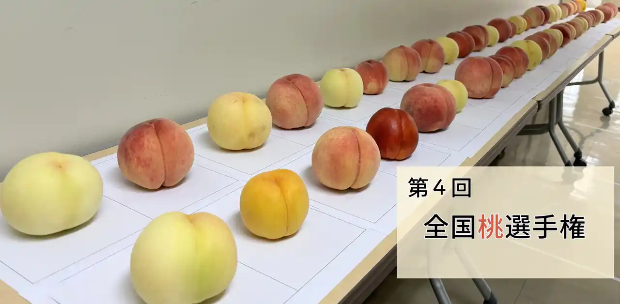 【一般社団法人日本野菜ソムリエ協会】 おいしい「桃」NO.１が決定！日本一は、山梨県甲州市「まるみや農園／甘麗露（アマレーロ）」が最高金賞を獲得！