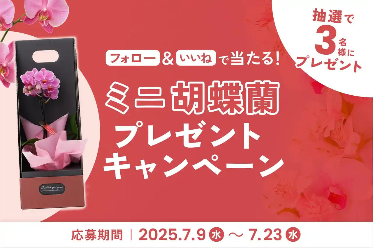 「ミニ胡蝶蘭」が当たるプレゼントキャンペーンを2025年7月9日～開催！｜胡蝶蘭専門サイトフラワースミスギフト
