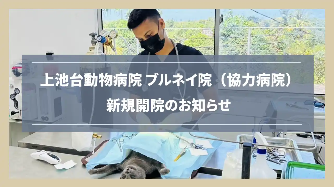 【スペシャリストホームドクター 上池台動物病院グループ】 【新規開院】上池台動物病院グループが海外協力病院「ブルネイ院」を開院
