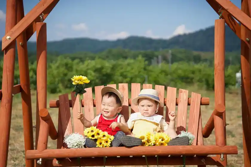 記念撮影用ブランコ