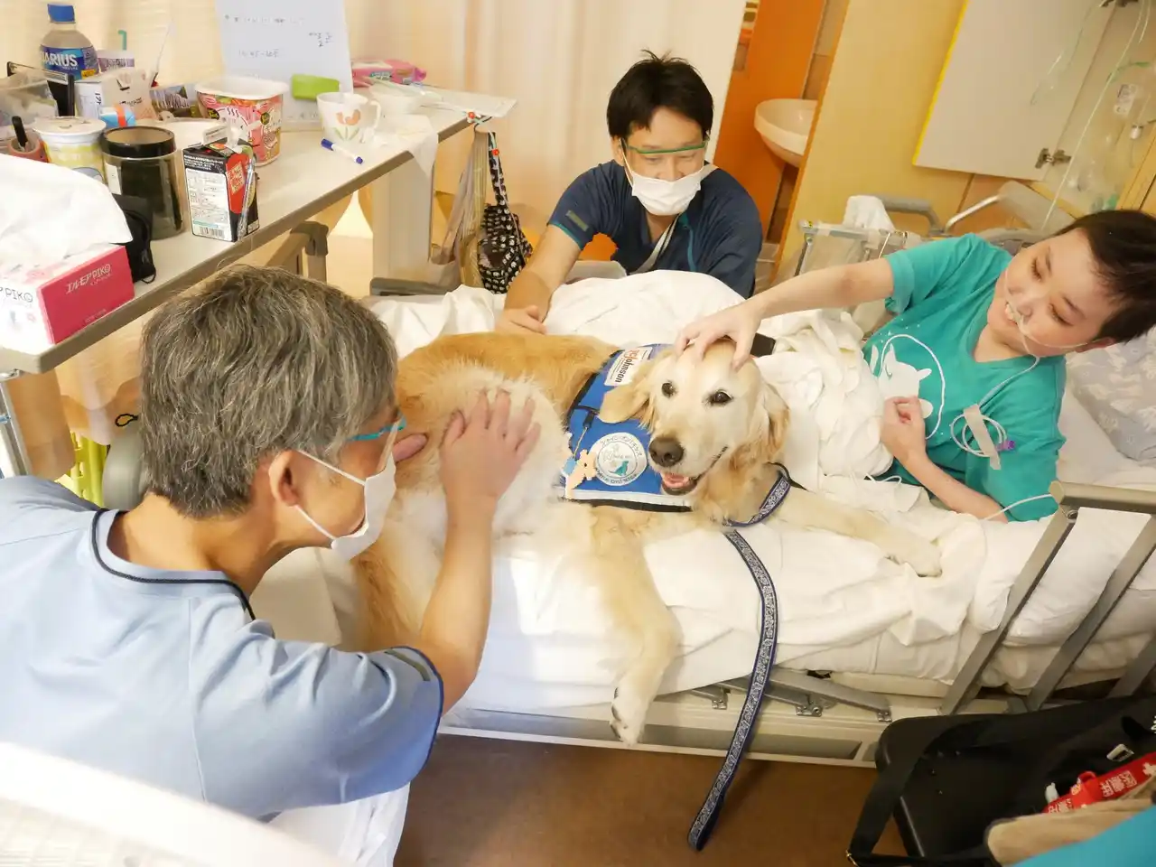 国立大学病院で初！筑波大学附属病院で病気のこどもに寄り添うホスピタル・ファシリティドッグ(R)導入へ