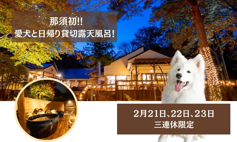 【株式会社 P3】 【２月連休限定】那須初！愛犬と“日帰り温泉”＆貸切露天風呂！体験！