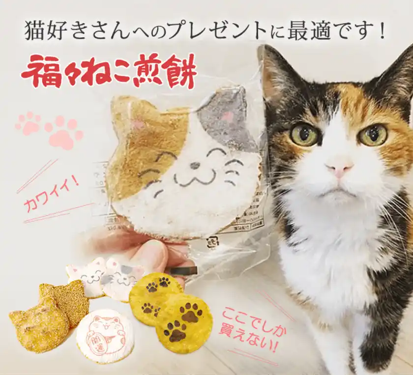 猫せんべいイメージ