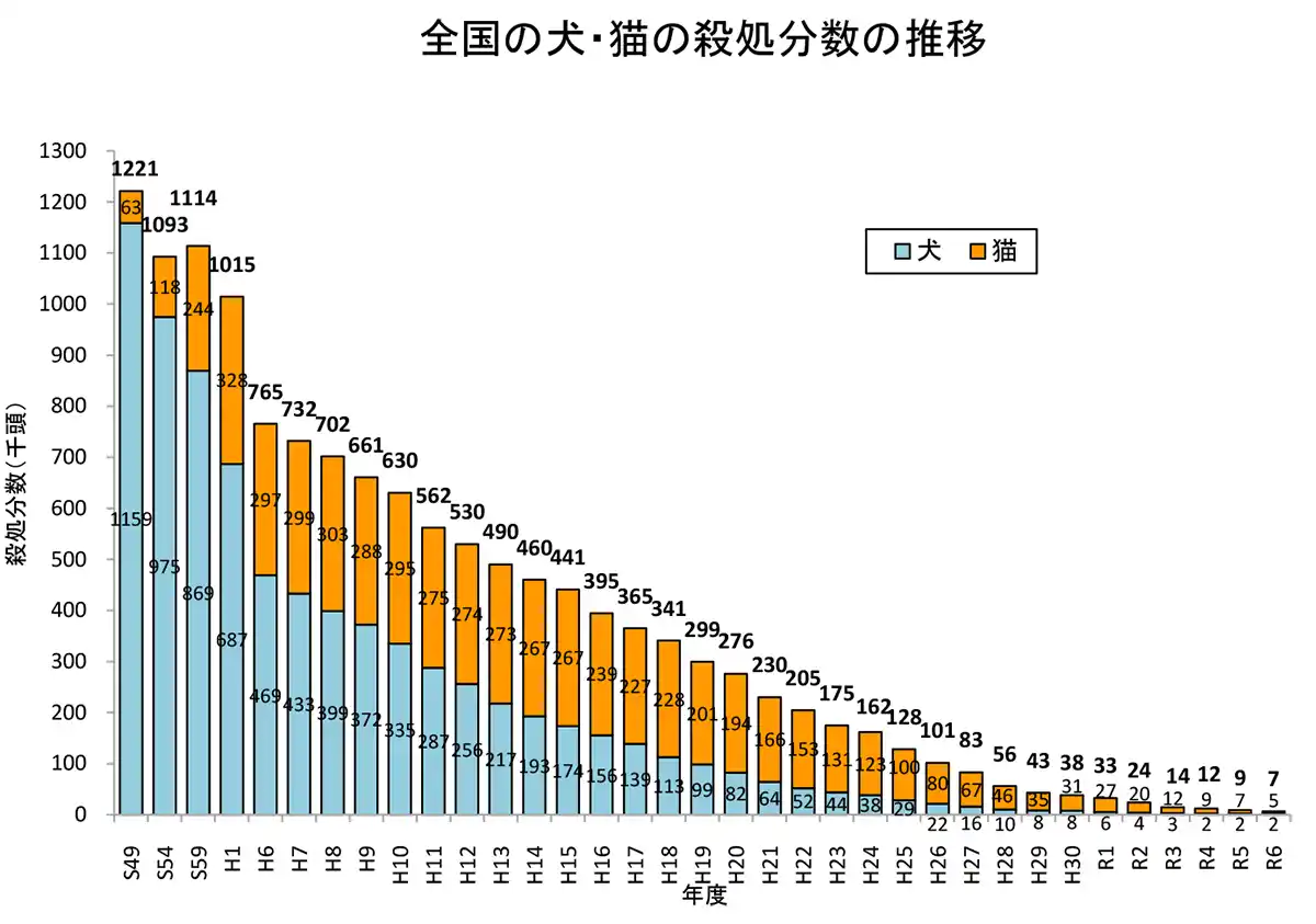 「買い物」が「命の支援」に。動物保護活動ボランティアが立ち上げた、負担ゼロの継続支援型通販サイト『PETKIFU（ペトキフ）』が2026年2月正式リリース