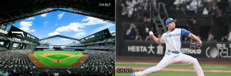 【野口観光マネジメント株式会社】野口観光60周年記念 × ありがとう北海道日本ハムファイターズプラン