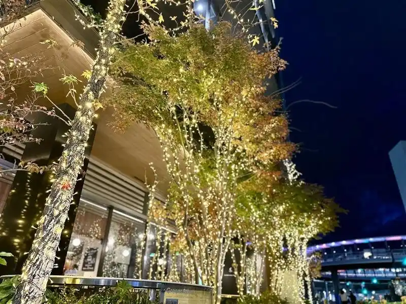 【グリーンズ】 【期間限定】四日市本社を彩る、冬のイルミネーション