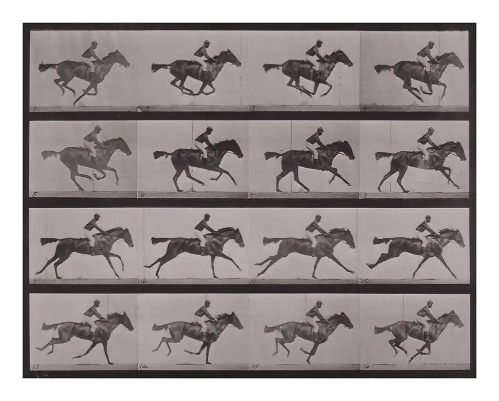 【富士フイルム】 フジフイルム スクエア 写真歴史博物館 企画写真展 動画の原点『アニマル・ロコモーション』「連続写真に取り憑かれた男 エドワード・マイブリッジ」