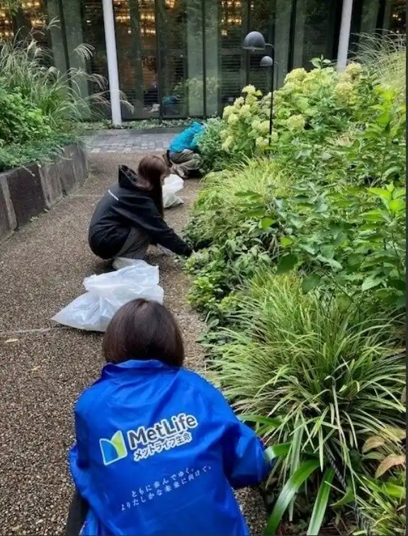 メットライフ生命、「エコチャレンジ」で環境への意識向上
