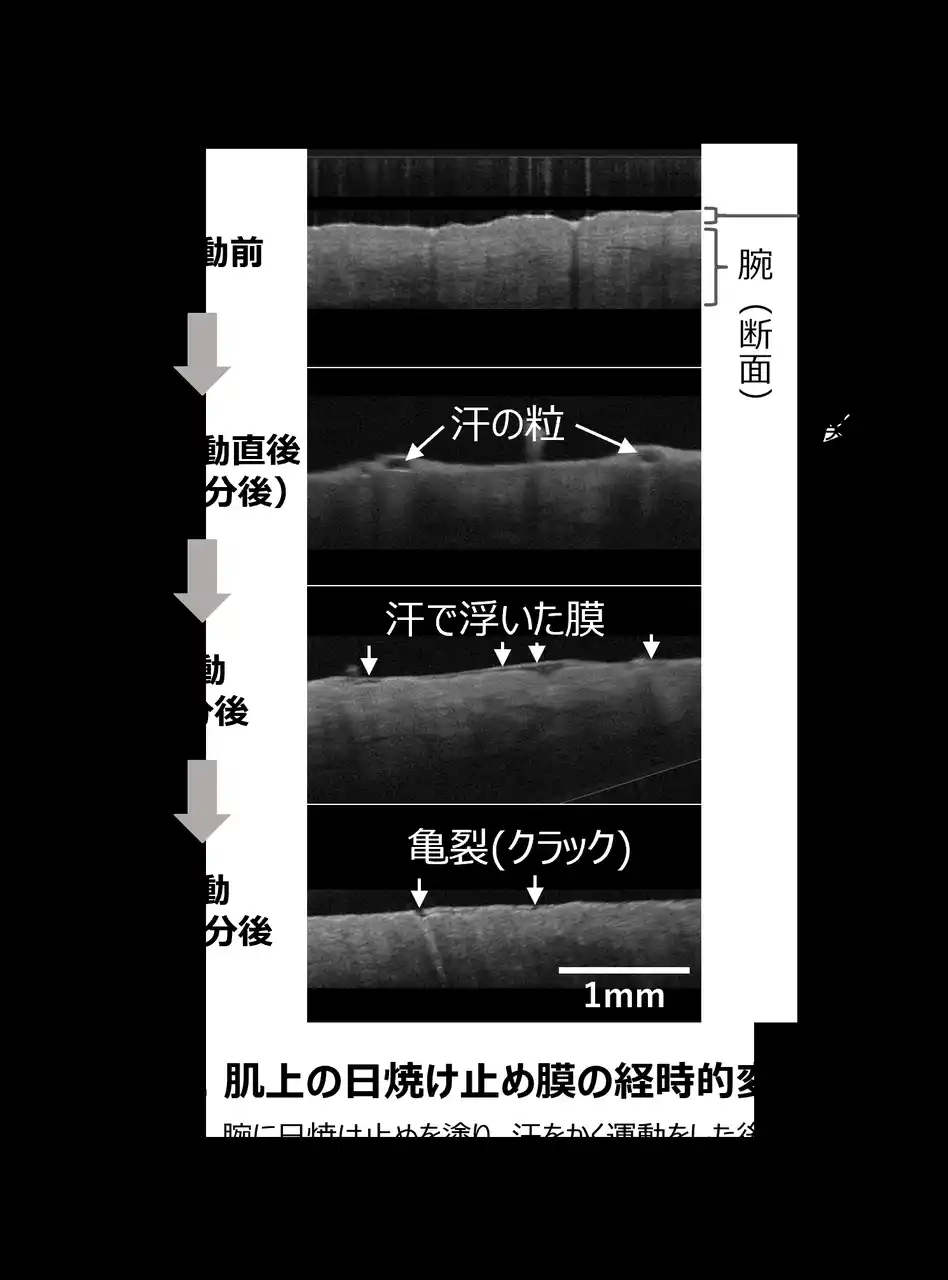 【ポーラ・オルビスHD】 汗で刻々と変わる日焼け止め膜の観察方法を確立
