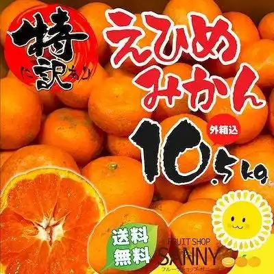 【eBay Japan合同会社】 ＜Qoo10 「柑橘類」販売数ランキング＞みかんの季節到来！今年は甘く、濃厚な味わい！たっぷり楽しめる“大容量”が人気