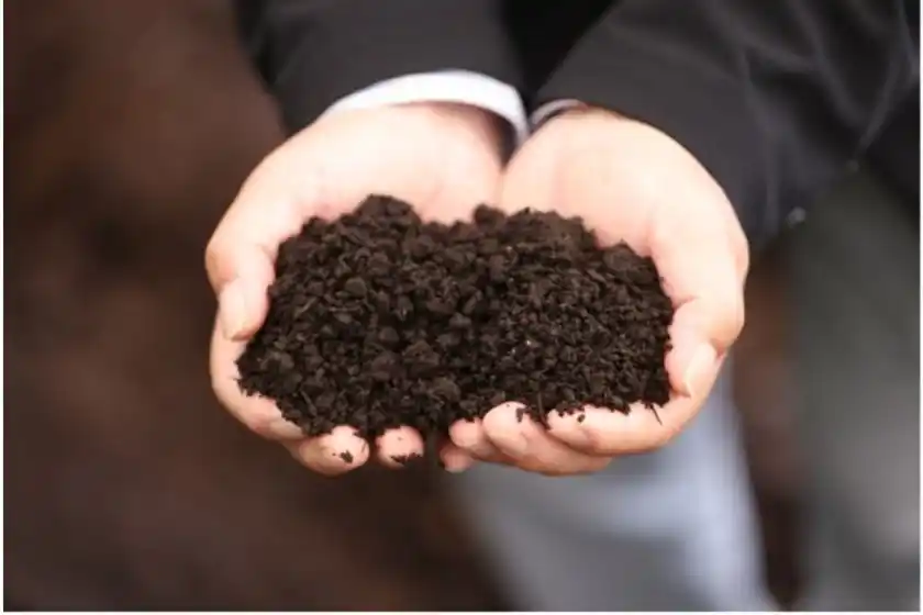 関園長の土壌チェック