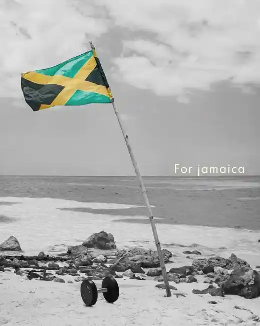 【株式会社ザオバ】 観測史上最大級ハリケーン「メリッサ」被災地 ジャマイカ復興支援 ― セラミックシャフト“BULL Xmas Edition” 売上の一部を寄付。