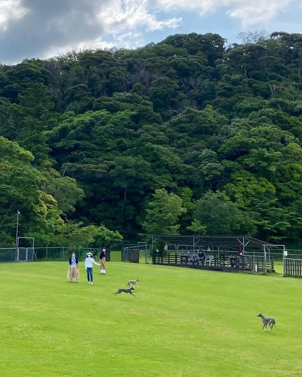 【千葉県富津市】保護犬とその里親が安心して過ごせる環境を目指すー　新たなドッグフィールド開発構想「DOX FIELD Northland」プロジェクト始動