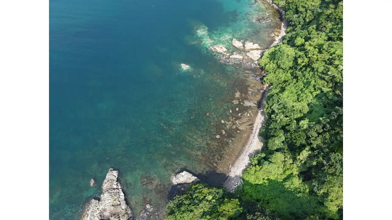 【東京海上アセットマネジメント株式会社】 出光興産、商船三井と藻場再生を通じた脱炭素推進に向けてブルーカーボンの活用に関する取り組みを開始