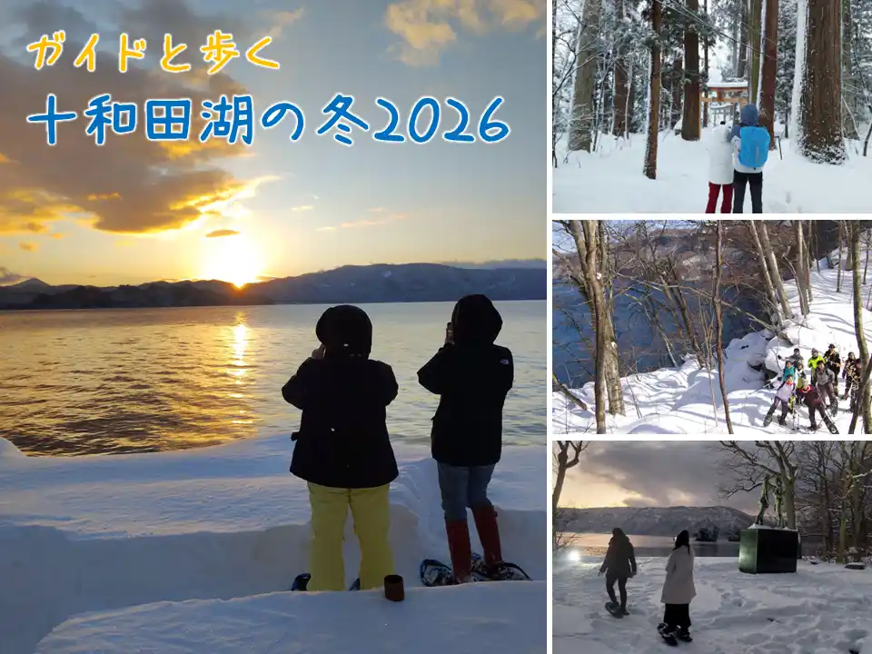 【～十和田湖の案内人～遊部屋十和田】 ガイドと歩く“冬だからこその十和田湖”。初日の出さんぽを皮切りに、朝から夜まで多彩な体験を2026年もお届け