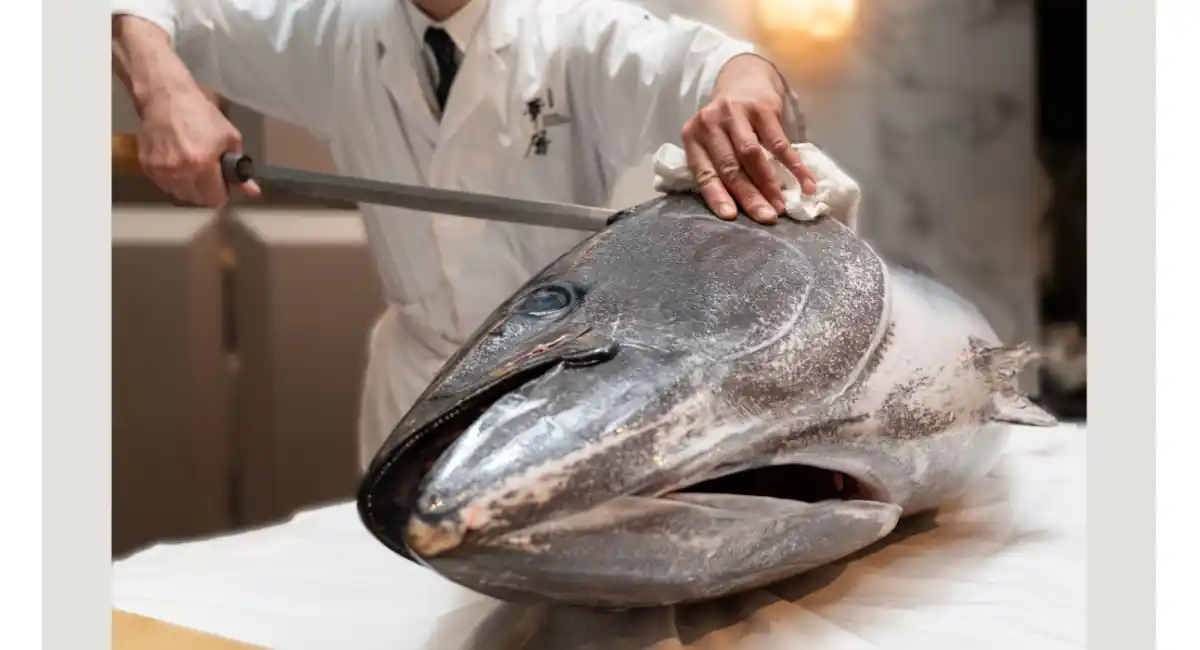 Premium Buffet 極 －KIWAMI－第9弾 日本料理 「本鮪 解体ショー」