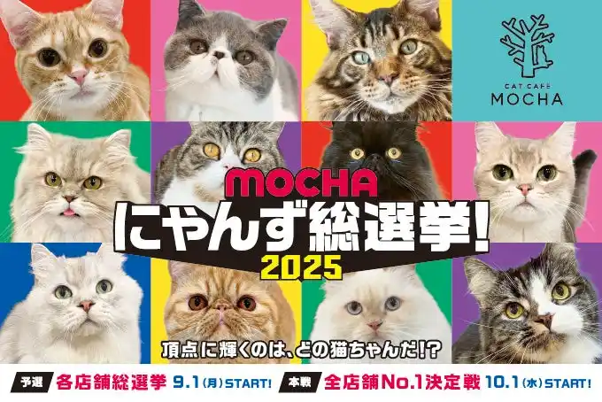 【リポット株式会社】 推し猫No.1を決める全国規模の熱戦！国内外 全39店舗総勢830匹が参加する猫カフェMOCHAの”猫の祭典”「MOCHAにゃんず総選挙2025」開催