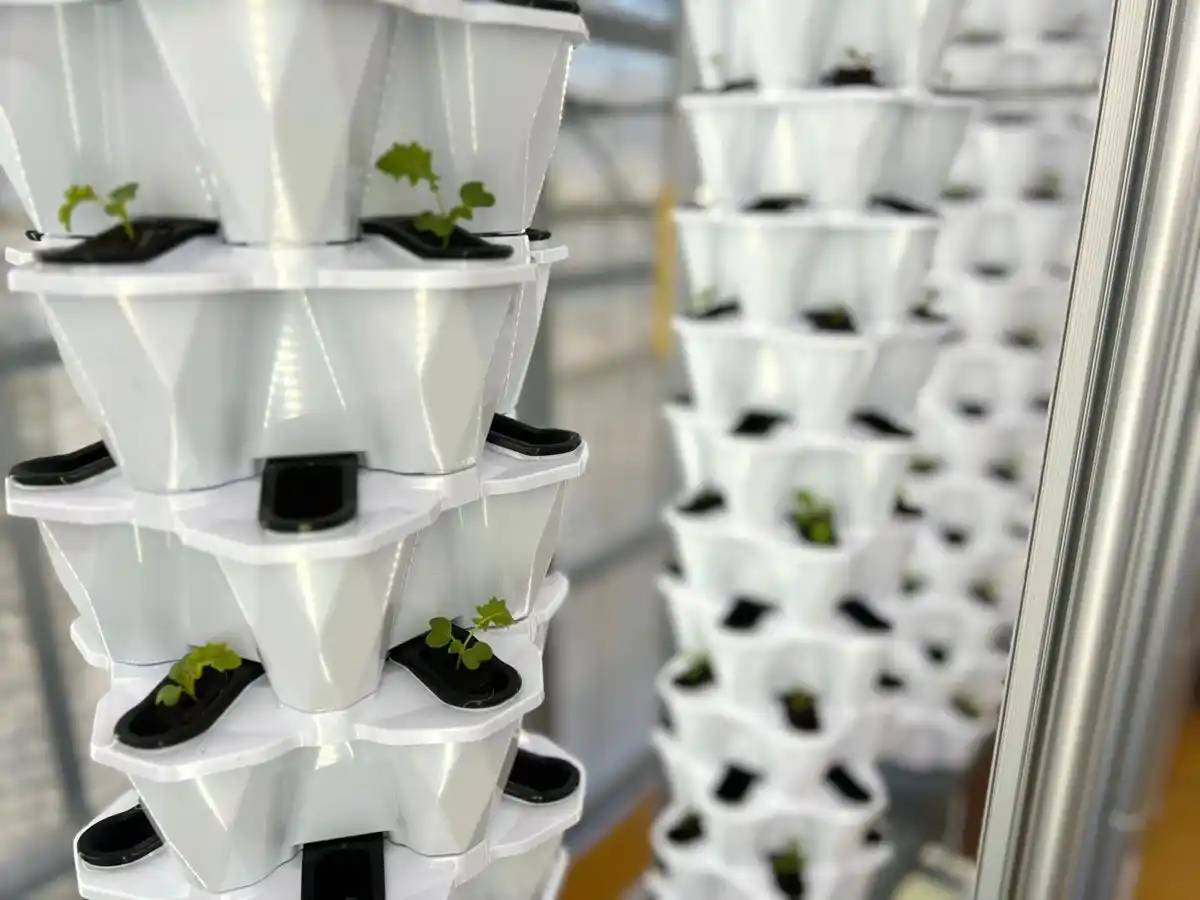 株式会社さかなとが埼玉県産サーモンの陸上養殖に挑戦。サーモン×アクアポニックス資源循環事業をスタートします